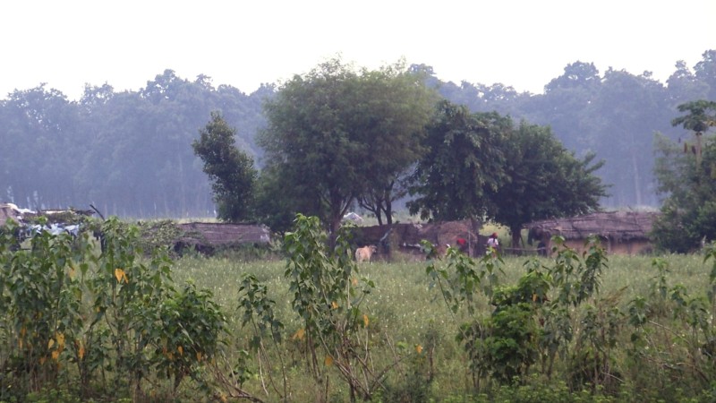 आयोगले आगामी महिनाबाट आरक्षपीडित व्यवस्थापनको काम सुरु गर्ने